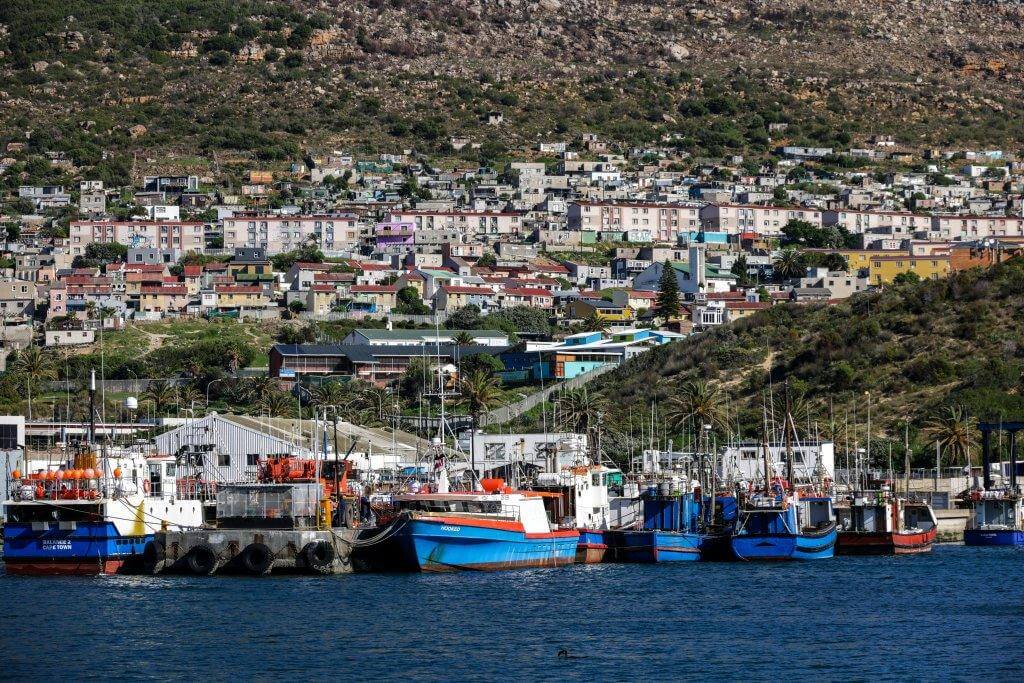Fish Hoek Movers. Colorful fishing boats docked at a vibrant harbor beneath a hillside town.